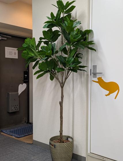ケアプランセンター内装（玄関）